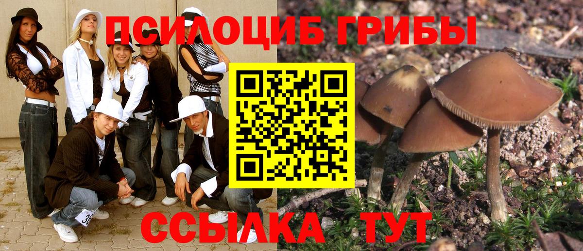 Тамбов  Псилоцибиновые грибы Magic Shrooms  сколько стоит  Псилоцибиновые грибы Cubensis  Вход с VPN 
